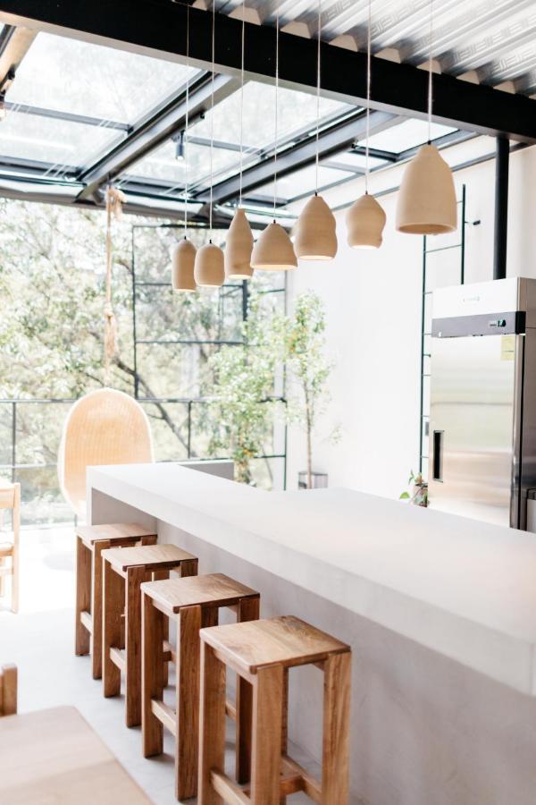 Casa Pancha Hostel Mexico City Ngoại thất bức ảnh